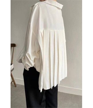 Pleats in Charge Blouse