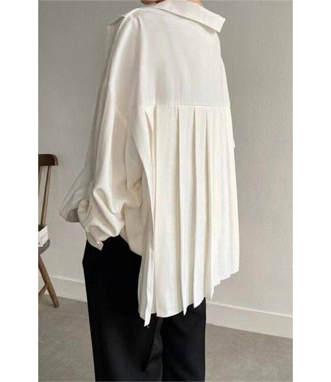 Pleats in Charge Blouse