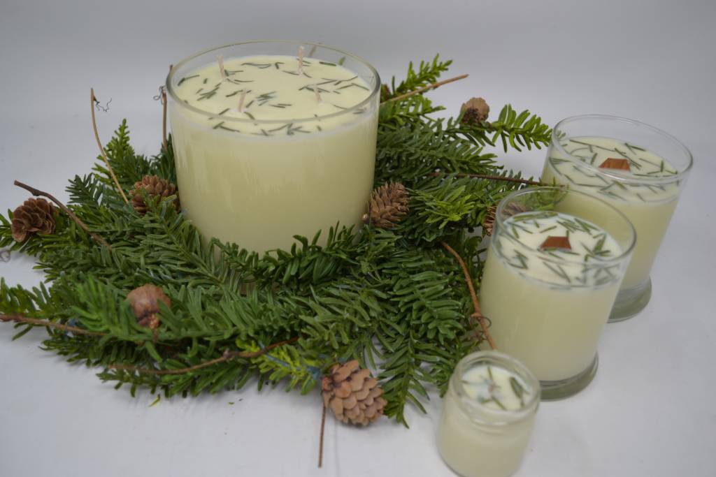 BedRock Tree Farm Frasier Fir Needle Soy Candle (4 Sizes)