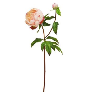Natural Touch Peony Bloom (4 Colors)