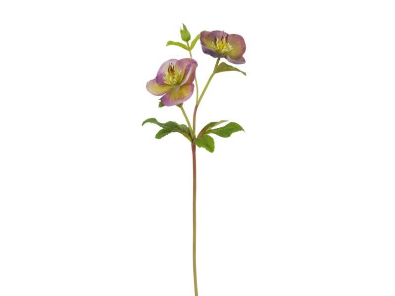 Natural Touch Hellebores Stem