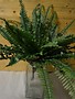 28" Large Boston Fern Bush