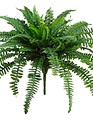 28" Large Boston Fern Bush