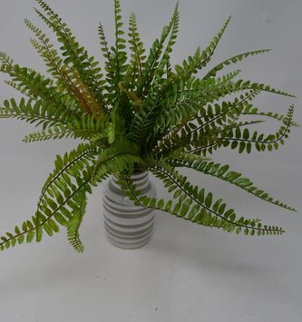 3x30cm Artificial Ferns Pack, Southern Wood, Lady & Royal Potted - Wowcher