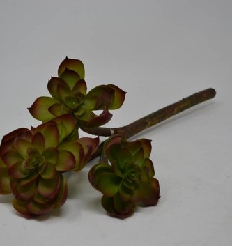 Triple Succulent Spray