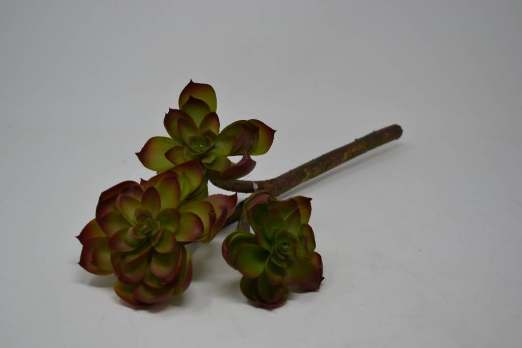 Triple Succulent Spray