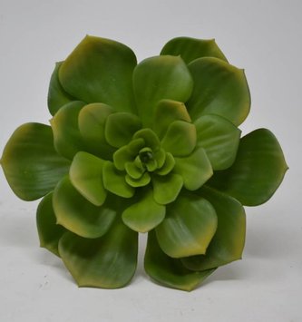 XL Green Pointed Echeveria Pick