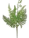 Mixed Fern Spray