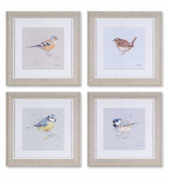 10" Square Framed Bird Print (4 Styles)
