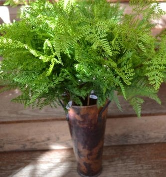 Leather Fern Spray