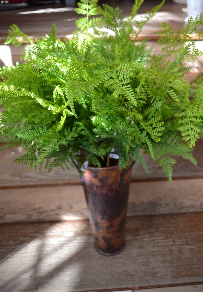 Leather Fern Spray