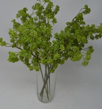 Soft Sedum Spray