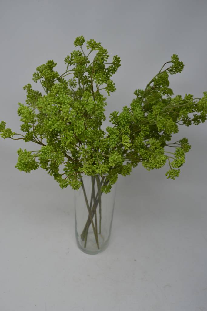 Soft Sedum Spray