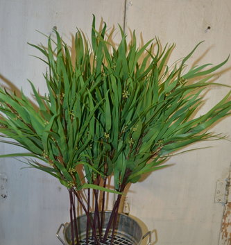 Seeded Needle Eucalyptus Spray