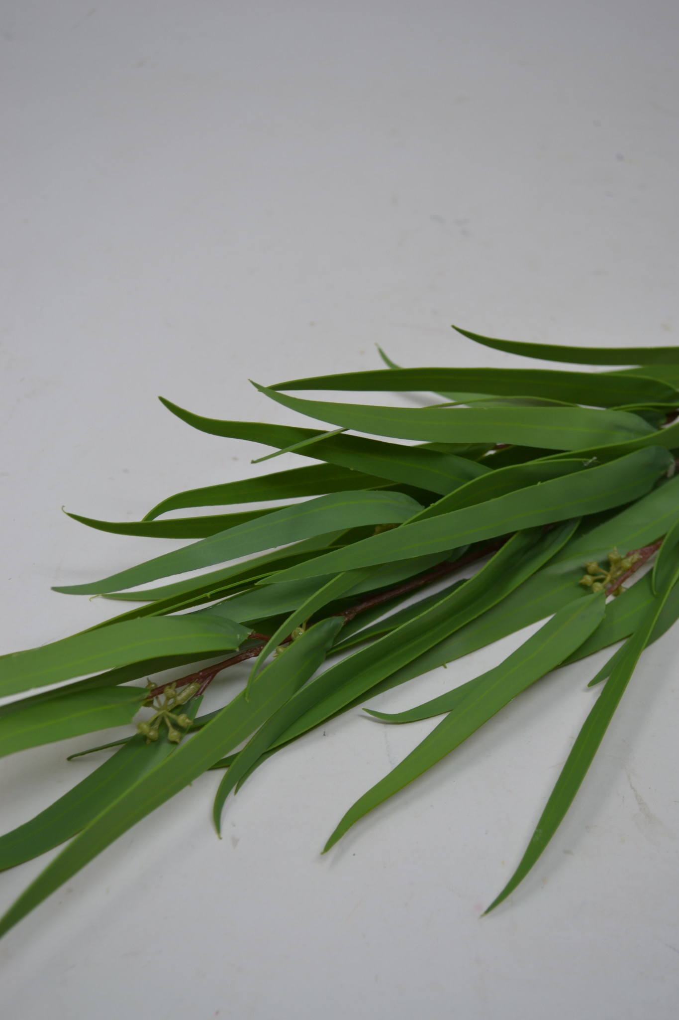 Seeded Needle Eucalyptus Spray