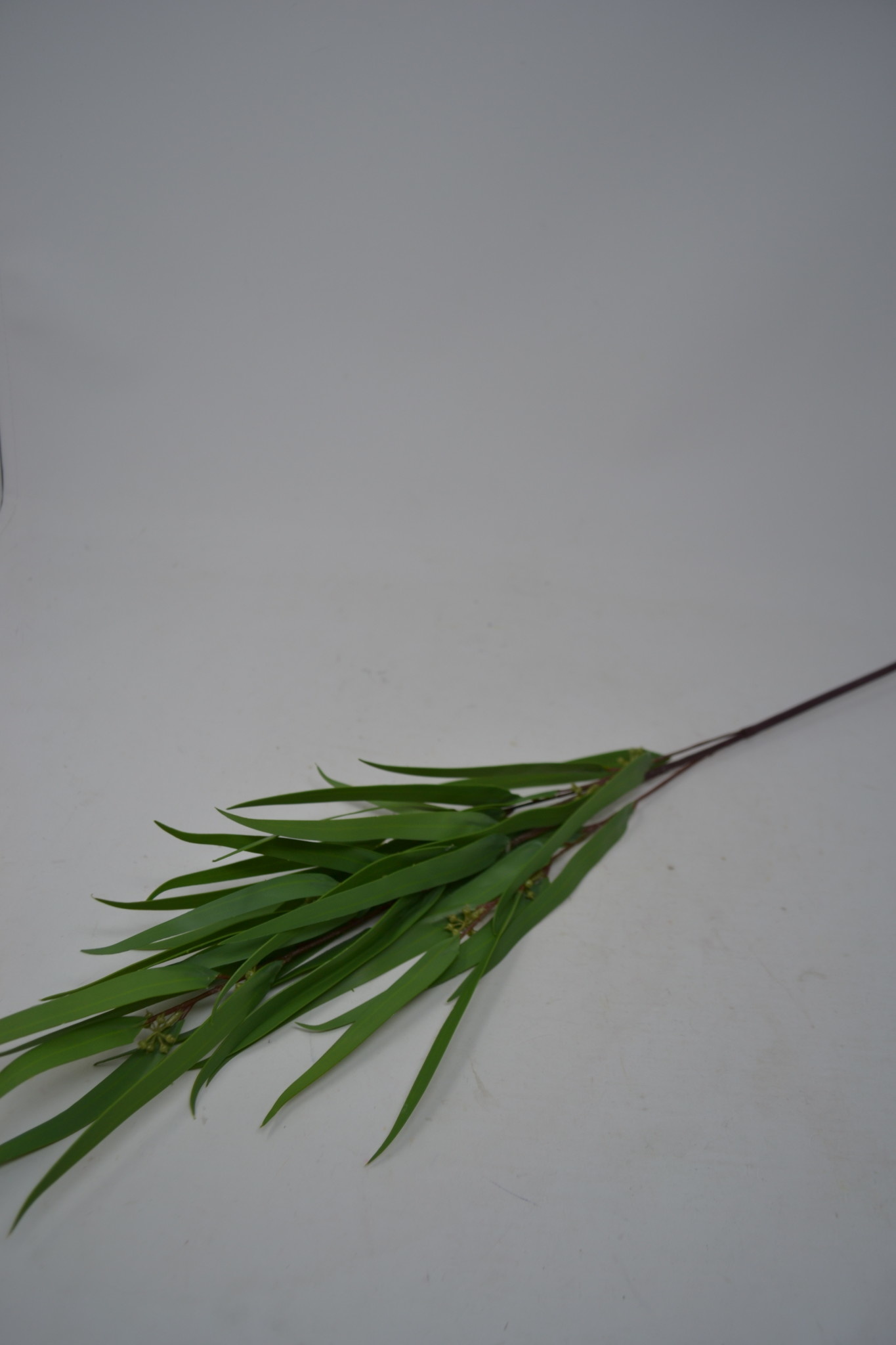 Seeded Needle Eucalyptus Spray