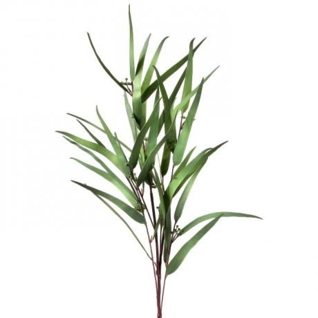 Seeded Needle Eucalyptus Spray