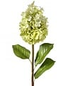 Natural Touch Queen Hydrangea