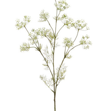White Dill Spray