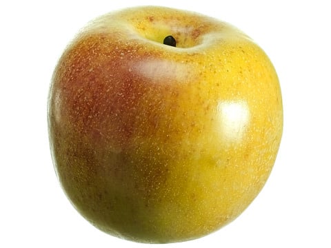 Weighted Gala Apple