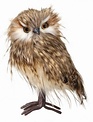9" Standing Speckled Feather Owl