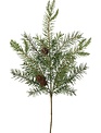 Douglas Fir Pick