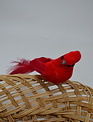 Clip-On Fluffy Tail Cardinal