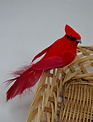 Clip-On Fluffy Tail Cardinal