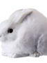 White Furry Snow Bunny