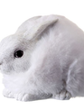 White Furry Snow Bunny