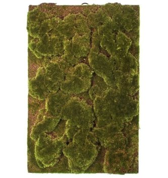 Artificial Moss Wall Plaque