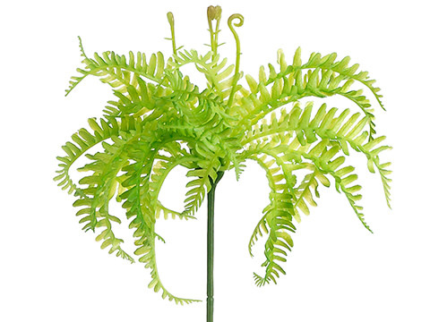 Mini Soft Fern Pick