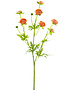 22" Mini Ranunculus Spray (3-Colors)