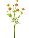22" Mini Ranunculus Spray