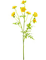 22" Mini Ranunculus Spray