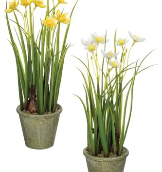 12" Potted Narcissus (2-Colors)