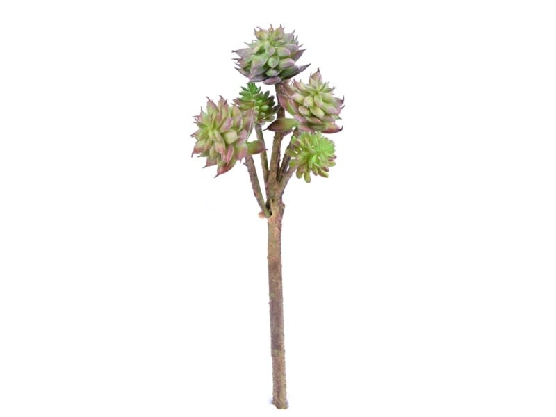 10.5" Succulent Branch Pick (2 Colors)