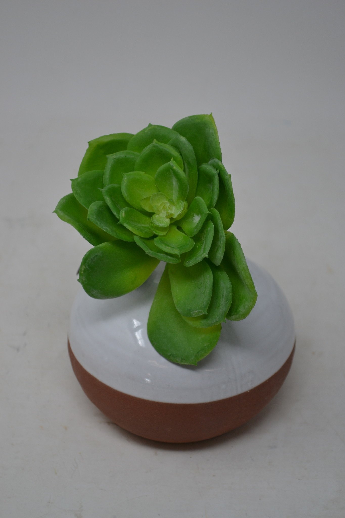 Jade Green Echeveria Pick