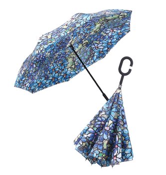 Rain Caper Umbrella (2-Colors)