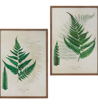 Botanical Wood Framed Fern Wall Art (2-Styles)