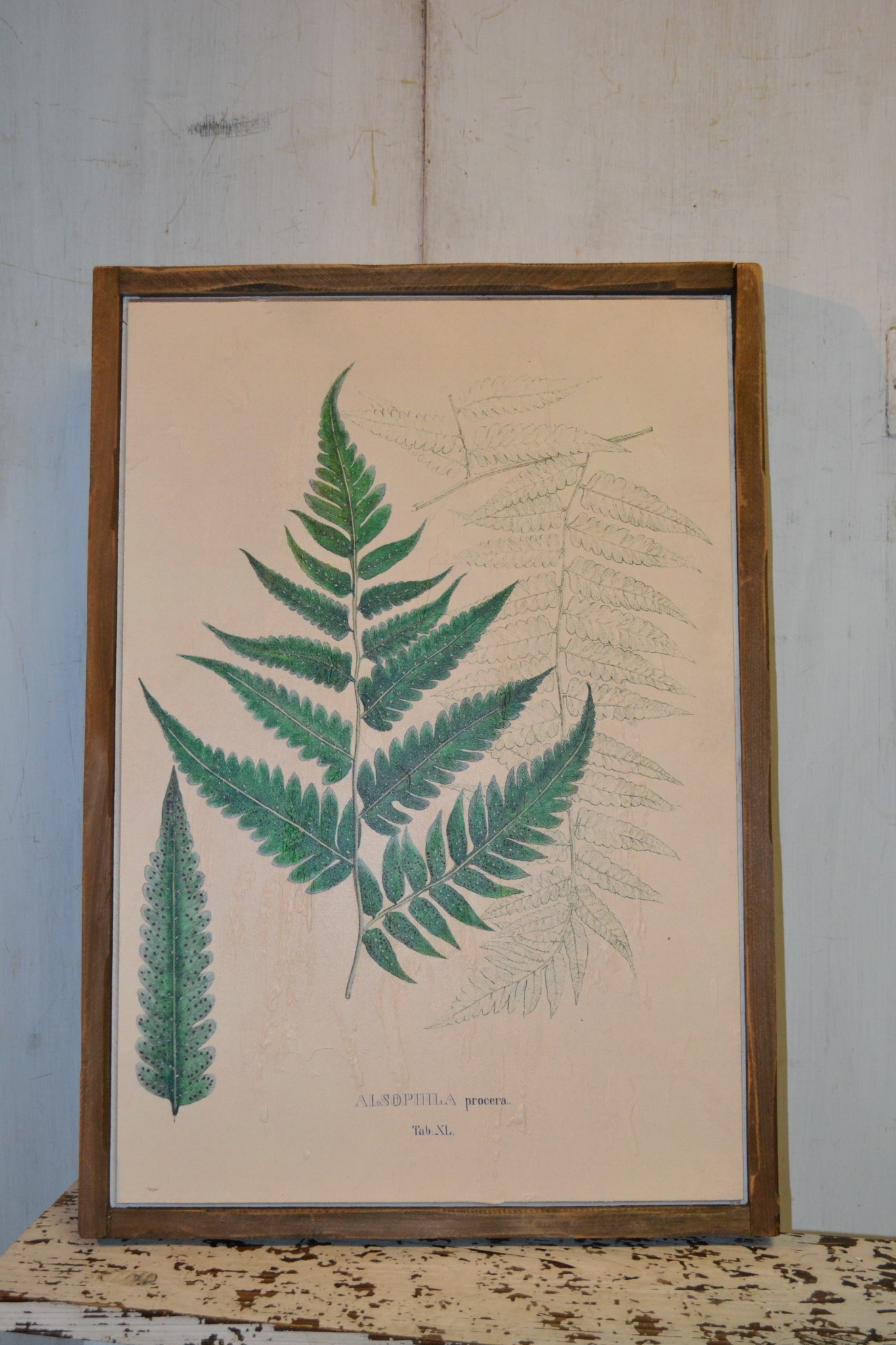 Botanical Wood Framed Fern Wall Art (2-Styles)