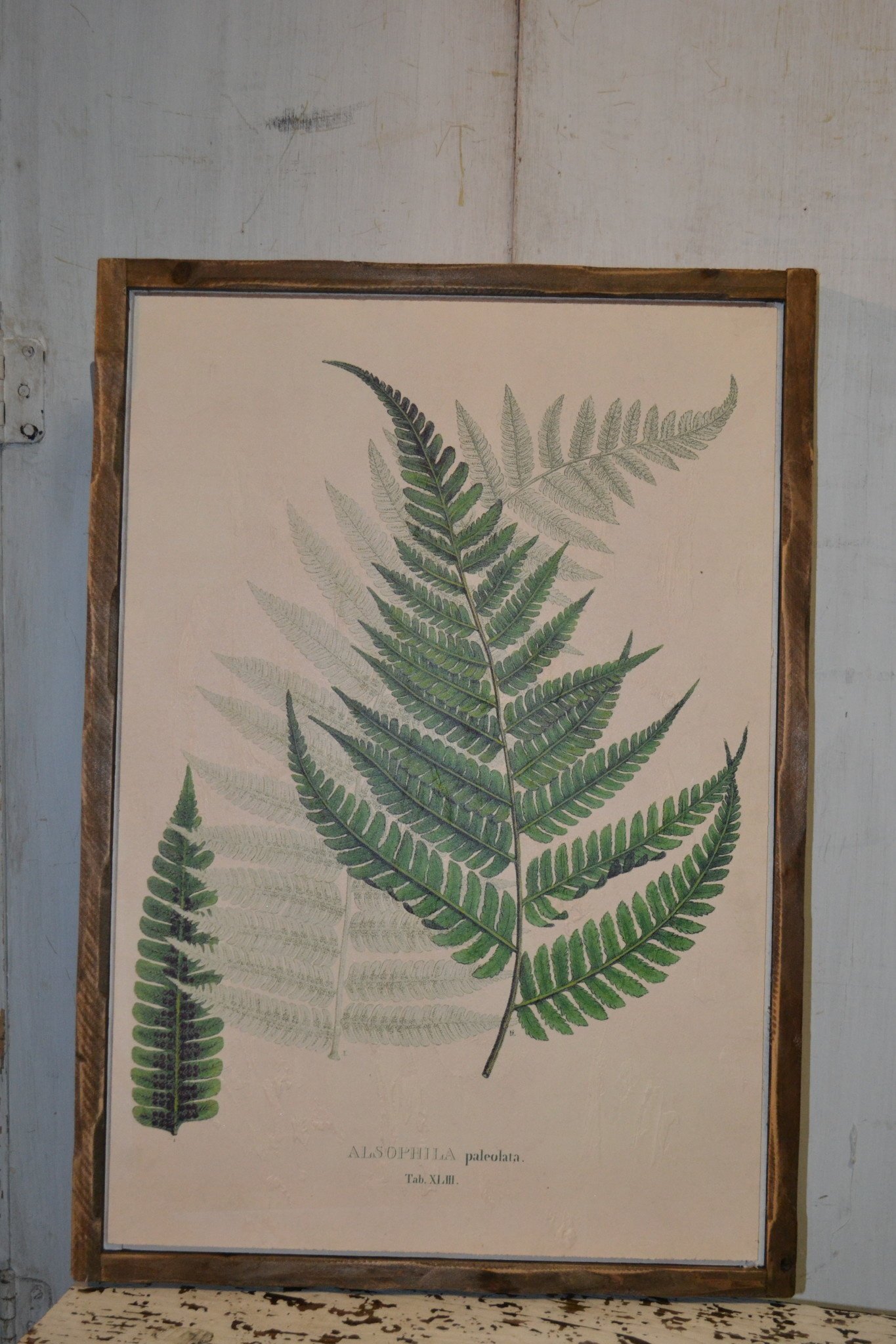 Botanical Wood Framed Fern Wall Art (2-Styles)