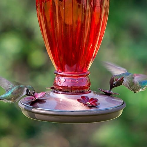 Vintage Red Glass Hummingbird Feeder Perky Pet Feeders The