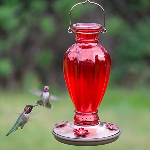 Vintage Red Glass Hummingbird Feeder Perky Pet Feeders The