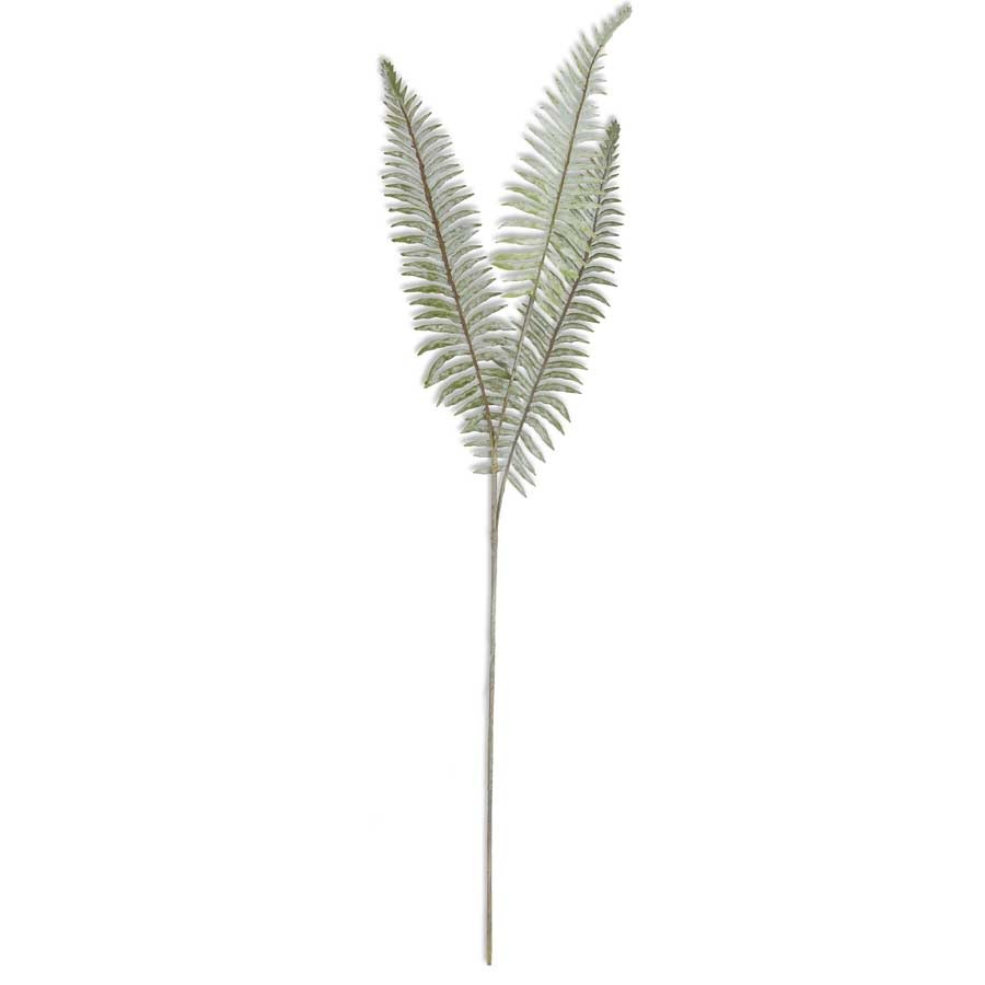 36" Dusty Boston Fern Pick