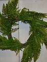 26" Mixed Green Fern Wreath