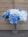 Natural Touch Grand Hydrangea (2-Colors)