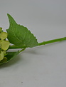 13" Hydrangea Bloom Stem (5-Colors)