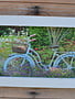 Garden Bicycle Rustic Framed Print