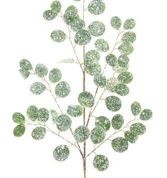 Frosted Silver Dollar Spray
